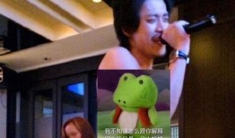 日本娱乐圈爆料东谷,日本娱乐圈爆料背后的真相揭秘